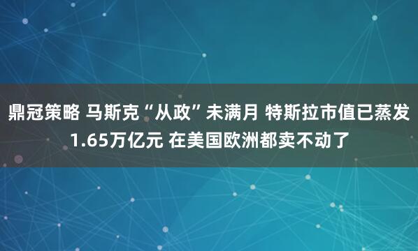 鼎冠策略 马斯克“从政”未满月 特斯拉市值已蒸发1.65万亿元 在美国欧洲都卖不动了