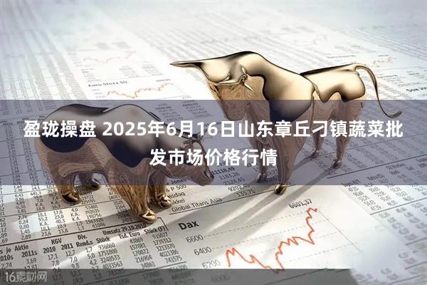盈珑操盘 2025年6月16日山东章丘刁镇蔬菜批发市场价格行情