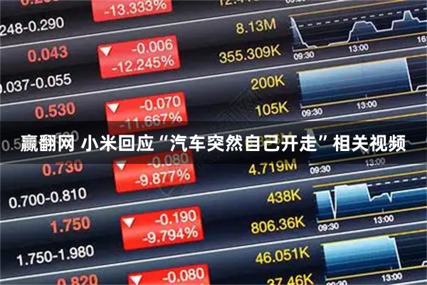 赢翻网 小米回应“汽车突然自己开走”相关视频